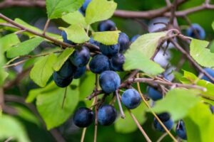 Ultimate Guide to Urinary Health: Solutions, Treatments, and Natural Remedies