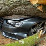 Comparing Vehicle Insurance: Your Guide to Top Providers in 2025